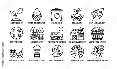 Sustainable farming practices: conservation, composting, and biodiversity