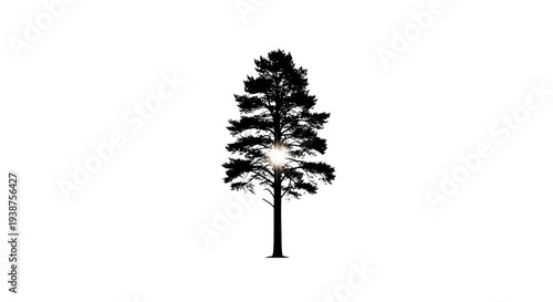 Solitary pine tree silhouette with glowing light burst through branches on a crisp white backdrop