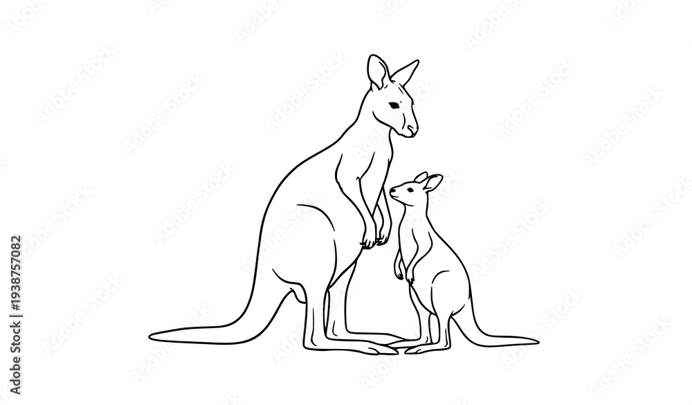 Fototapeta premium Kangaroo Mother and Baby Joey Minimal Line Art Wildlife Vector Illustration