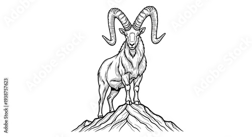 Majestic mountain ram standing proudly on a rugged peak in a striking line art illustration