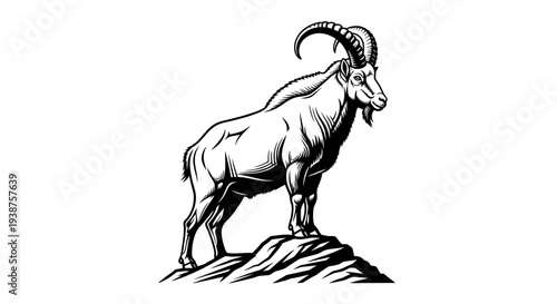 A magnificent ibex stands majestically on a rocky outcrop in a striking monochrome illustration
