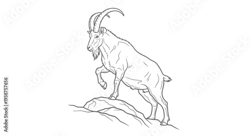 Monochrome illustration of an agile ibex with large horns balancing on rugged terrain