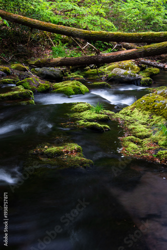 calm soothing smooth stream in the woods in foggy air with slow motion over moss covered rocks with trees fallen over the stream