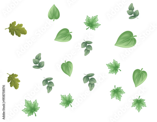 Collection of various green leaves floating in mid-air against a clear white background