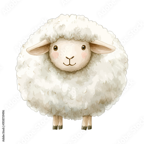 Watercolor cute fluffy baby sheep lamb isolated on white background
