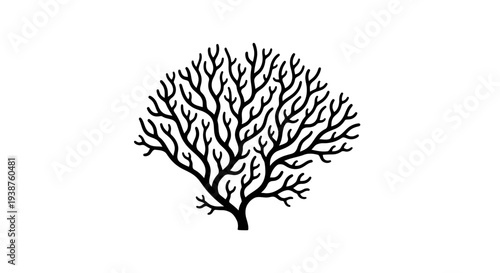 Minimalist black silhouette illustration of an intricate branching organic pattern isolated on
