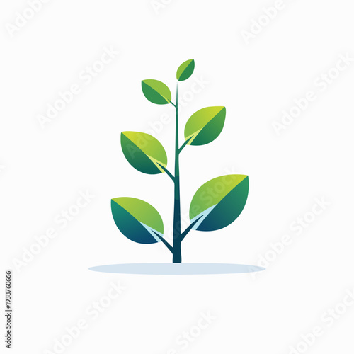 Growing Plant with Green Leaves - Nature and Growth Concept.
