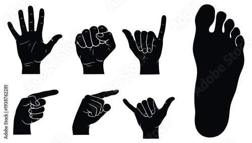 Silhouettes of Human Hands in Various Gestures and Foot