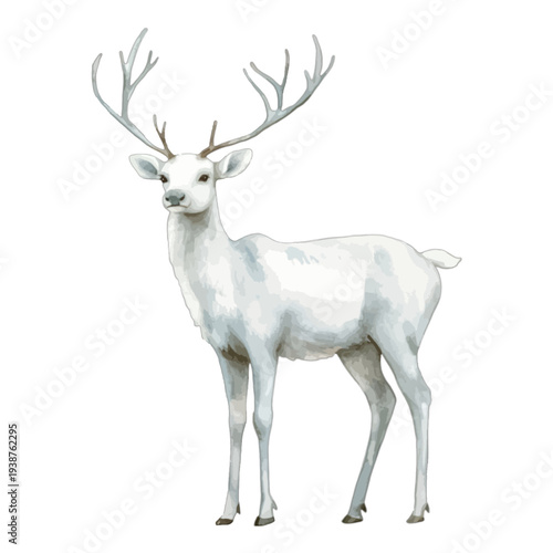 Watercolor white stag deer illustration with large antlers on white

