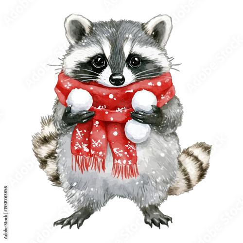 Watercolor winter raccoon in red scarf holding white snowballs