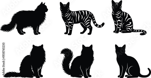 Set of black cat silhouettes in various poses including sitting, standing and striped patterns isolated on white background for pet design and decoration