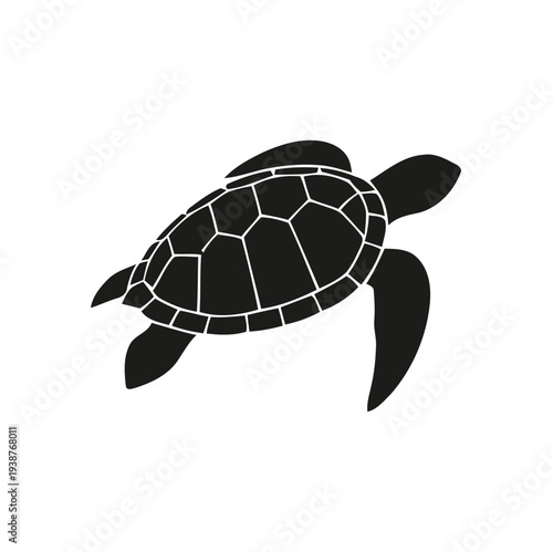 black turtle vector logo