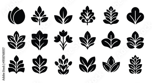 A collection of various leaf designs showcasing different shapes and patterns