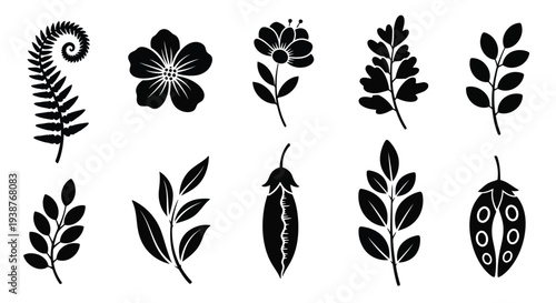 A collection of various leaf designs showcasing nature's intricate patterns and shapes