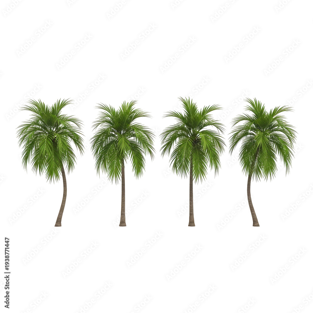 Obraz premium Four lush green palm trees with textured fronds and brown trunks isolated on a transparent background