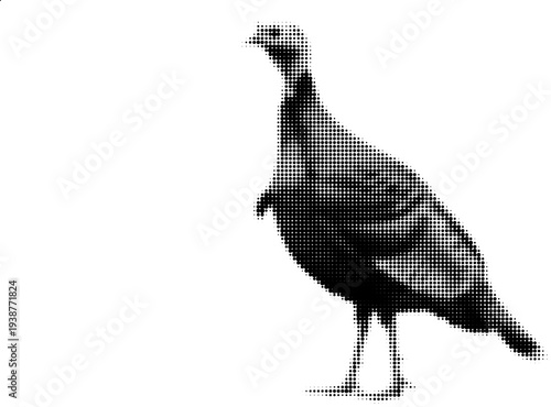 Majestic Turkey Silhouette: A graceful wild turkey is captured in a striking silhouette, showcasing its unique form and features in this artistic black and white composition.
