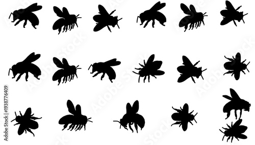 Honey bee silhouette vector design set