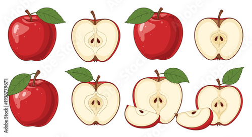 Assortment of red apples including whole fruit and various sliced segments with green leaves are shown in a detailed illustration for food design.