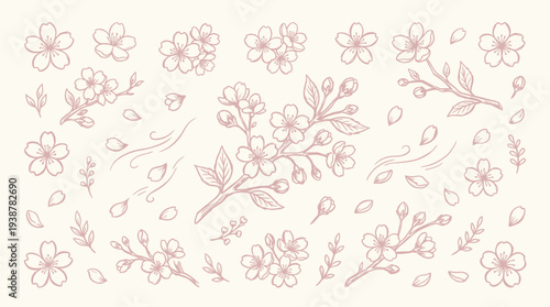 A delicate hand-drawn illustration of cherry blossom branches and petals in a soft pink hue on a cream background, featuring various stages of bloom and falling petals.