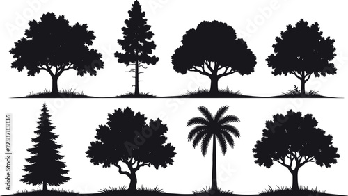 Set of various tree silhouettes including pine, palm and oak, black forest landscape vector collection isolated on white background for nature design