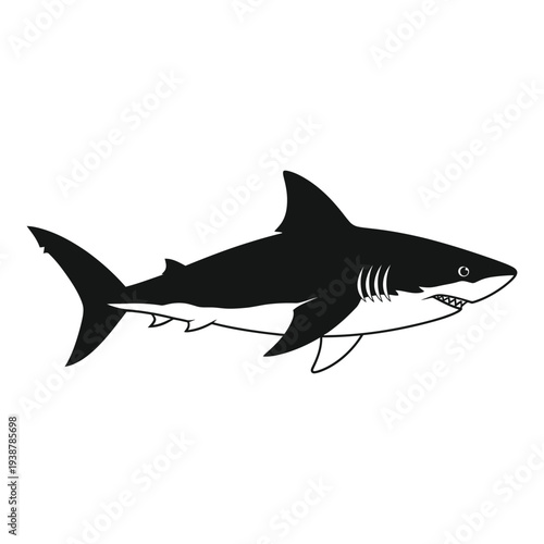 Black and white shark swimming in water illustration