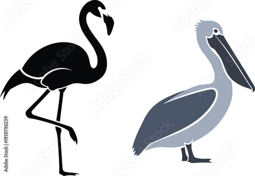 Silhouette of pelicans in profile view