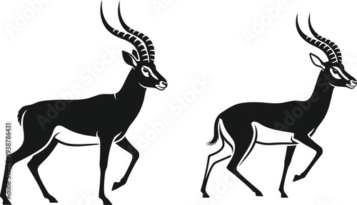 Silhouette of two gazelles with long horns walking side by side