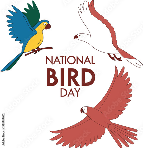 National Bird Day Illustration Featuring Flying Macaw, Seagull, and Cardinals.