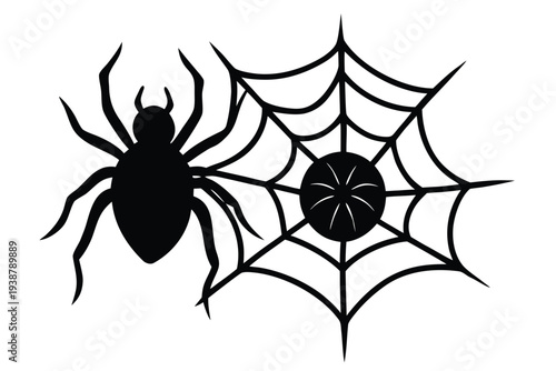 spider and web vector icons set for halloween   (1).eps