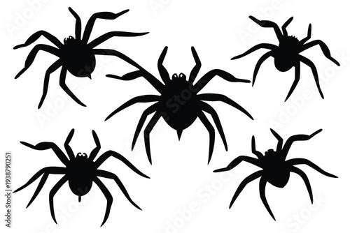 spider crawling silhouette set   halloween style   (2).eps