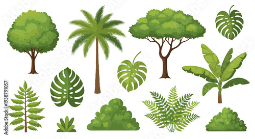 Diverse collection of lush green tropical trees and plants including palm fern and monstera leaves isolated on a clean
