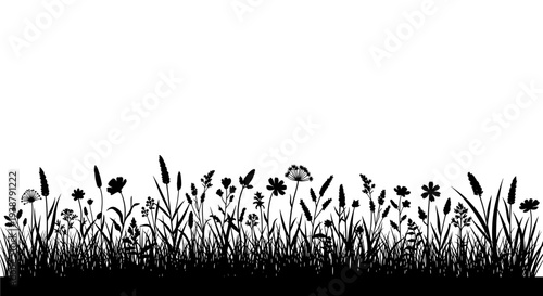 Black silhouette of wild meadow grasses and delicate wildflowers against a stark white background creating a minimalist