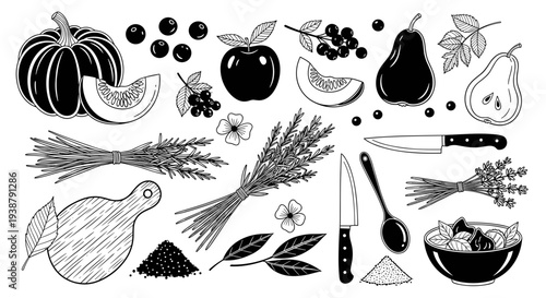 Hand drawn sketch of autumn harvest bounty with pumpkin apple pears berries herbs and kitchen utensils on white