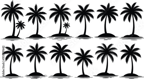 Tropical palm tree silhouettes set vector illustration, black island paradise collection with coconut palms isolated on white background for summer beach design