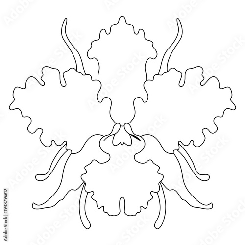 An orchid flower outline in black and white, featuring delicate petals and elegant lines