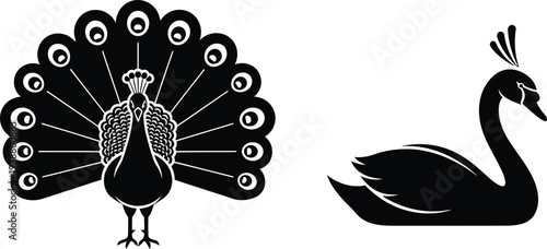 Black and white illustration of a peacock and a swan