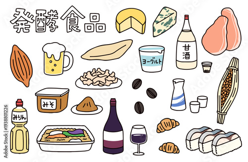 ビールや味噌などのさまざまな発酵食品のイラストセット