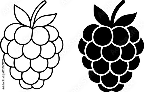 Raspberry illustration icon, black and white in outline and silhouette design style