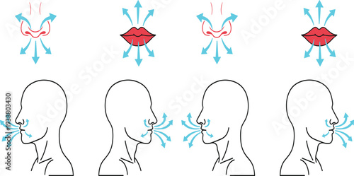 Medical Illustration Set Showing Human Respiration and Breathing Cycles Through the Nose and Mouth with Airflow Directional Arrows for Study.