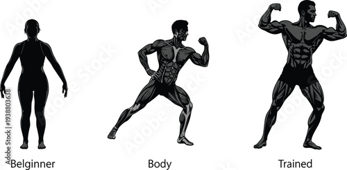 Bodybuilding progression silhouette beginner to trained physique, fitness transformation theme, flat vector illustration for health and wellness concepts