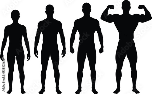 Bodybuilding silhouette progression with increasing muscle definition, fitness transformation theme, flat vector illustration for health and wellness concepts