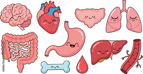 Set of Cute Cartoon Human Internal Organ Characters Including Smiling Brain Heart Lungs Stomach Liver Intestines and Bone for Medical Education.