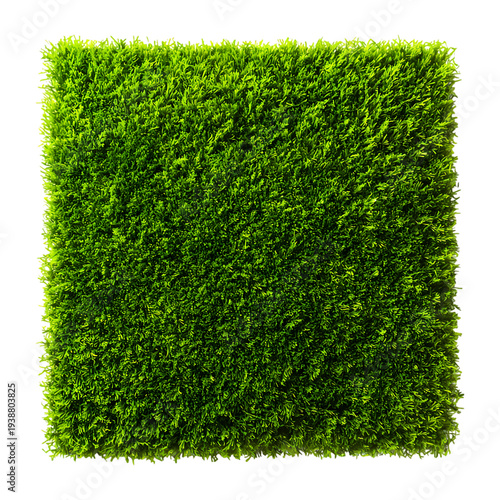 Square patch of lush green grass Isolated transparent on white background