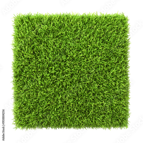 Square patch of lush green grass Isolated transparent on white background