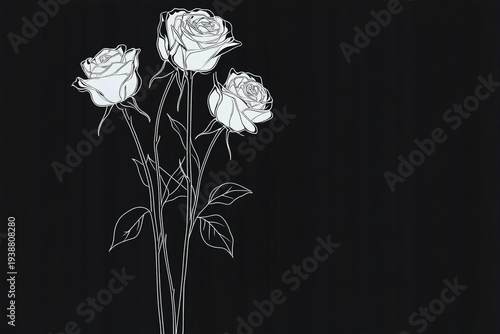 black and white rose