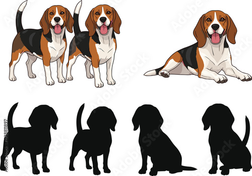 Beagle dog illustration and silhouette set with standing and lying poses, cute tricolor puppy vector collection isolated on white background