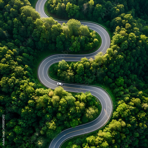 Aerial view of winding road through lush green forest