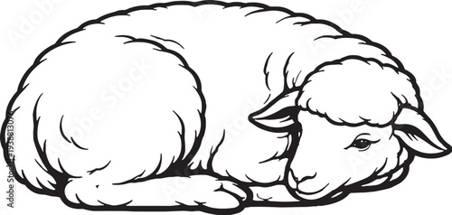 Sheep Lying Curled Resting Side Pose Black and White Line Art Illustration