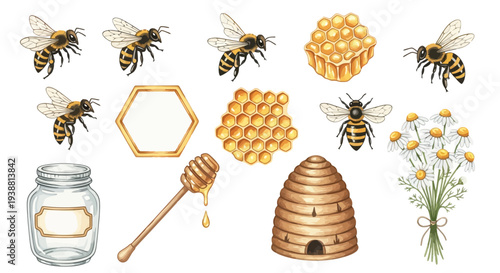 Watercolor illustration of bees honeycomb honey jar and flowers