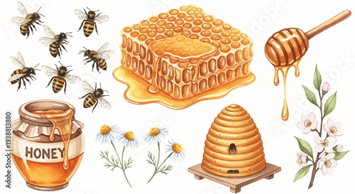 Watercolor illustration of bees honeycomb honey jar and flowers